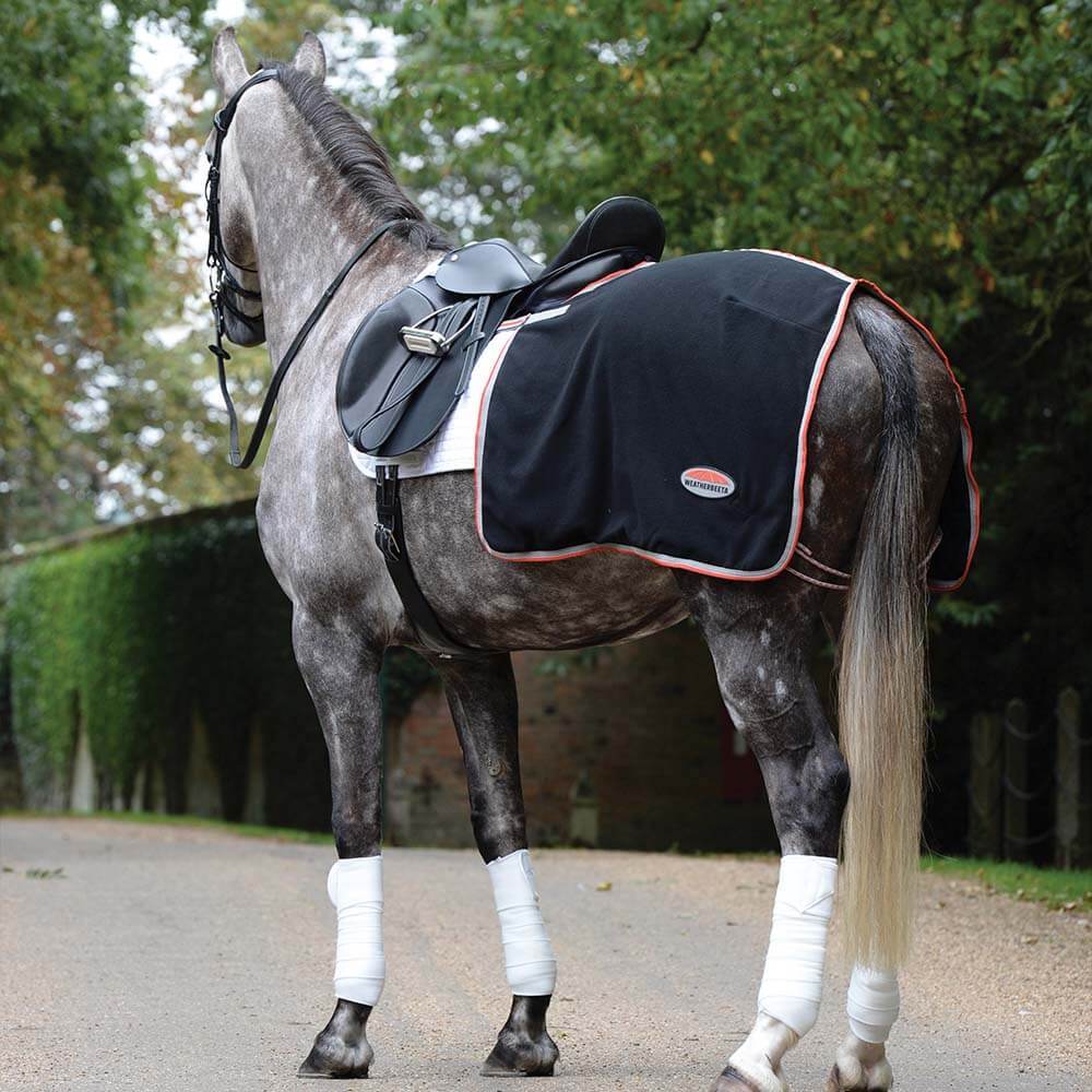 Grey horse in Weatherbeeta Therapy-Tec Fleece Quarter Sheet stands on a path by greenery.