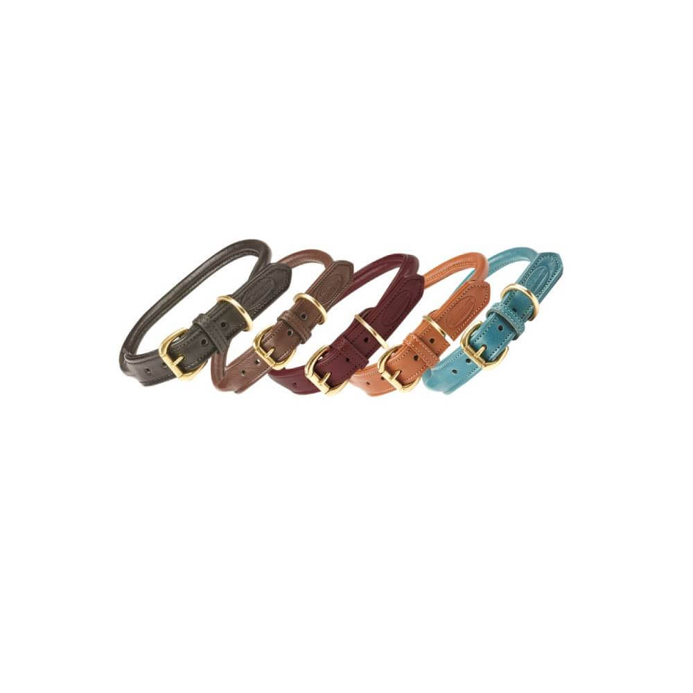Five Weatherbeeta Rolled Leather Dog Collars in assorted colors, with brass and gold hardware.