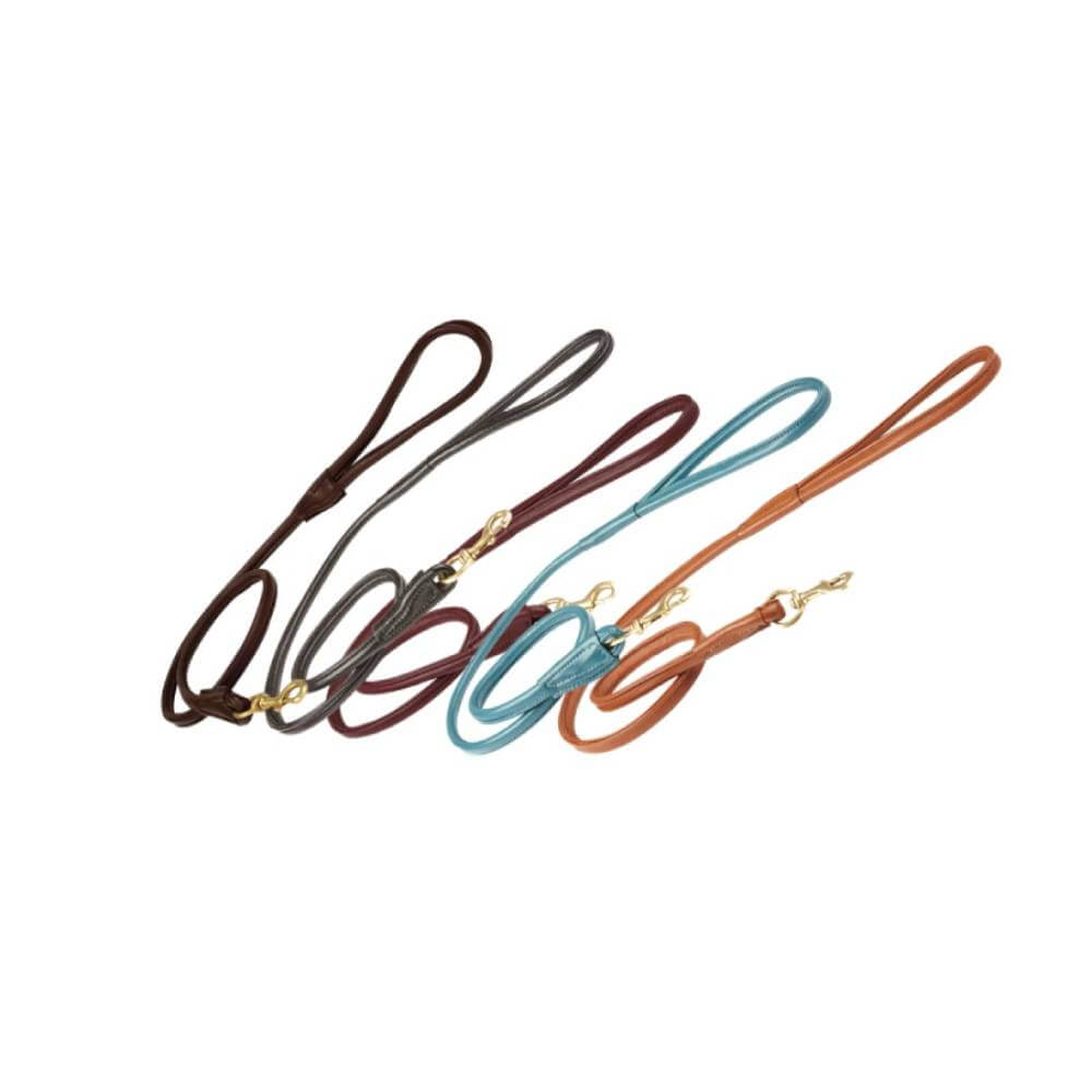 Weatherbeeta Rolled Leather Dog Leads in brown, maroon, teal &amp; tan with brass fittings.