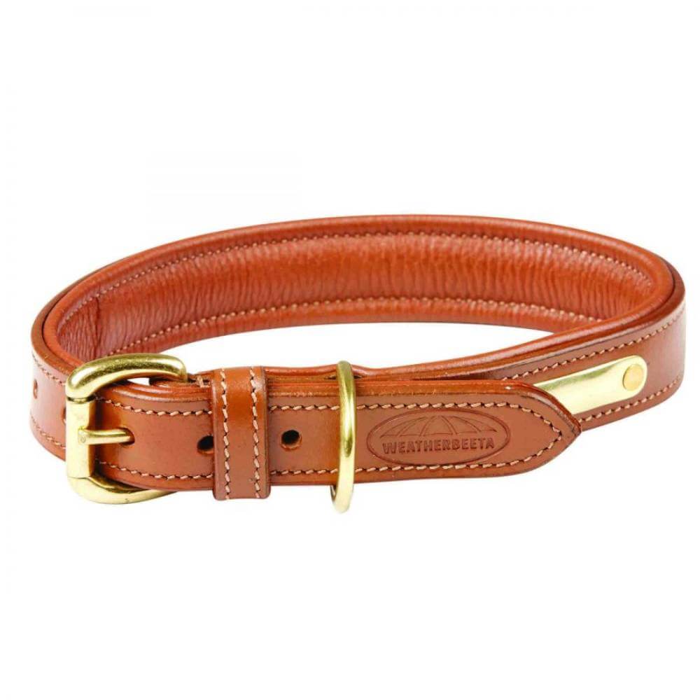 Weatherbeeta Padded Leather Dog Collar-Pet n Pony-Weatherbeeta
