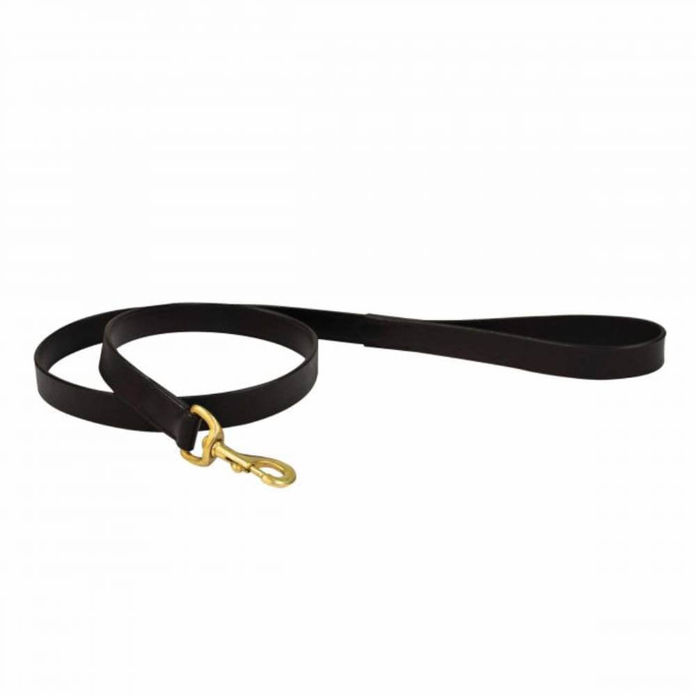 The Weatherbeeta Padded Leather Dog Lead in black with brass clip, coiled on white.