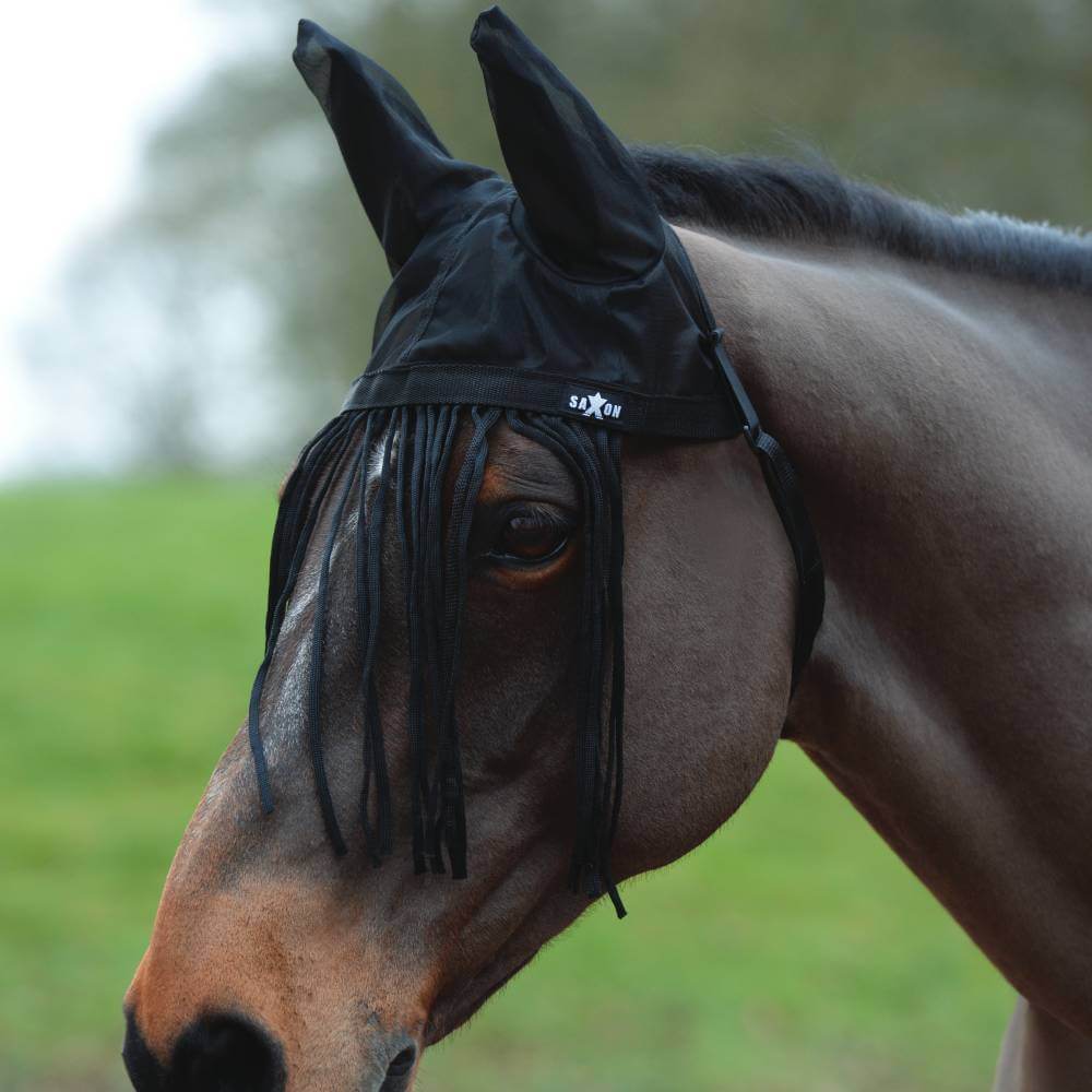 Brown horse on grass wearing Saxon Fly Fringe With Ears Black fly mask by Saxon.