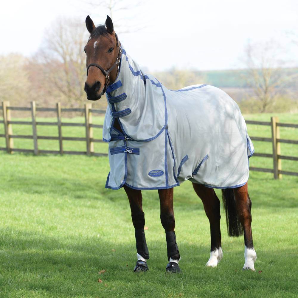 A horse in a Weatherbeeta Comfitec Airflow II Detach A Neck Grey/Blue/Grey stands on grass.