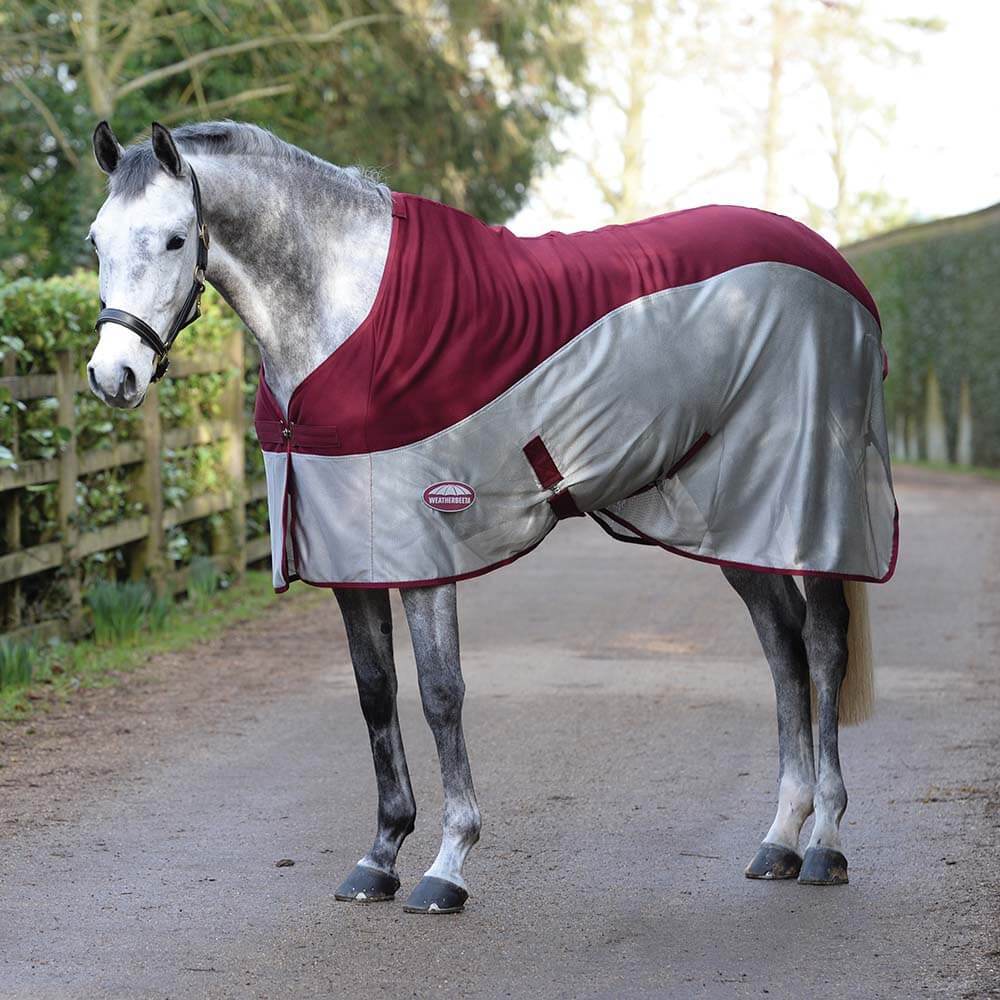A gray horse in a Weatherbeeta Micro-Air Cooler stands on a dirt road by a fence.