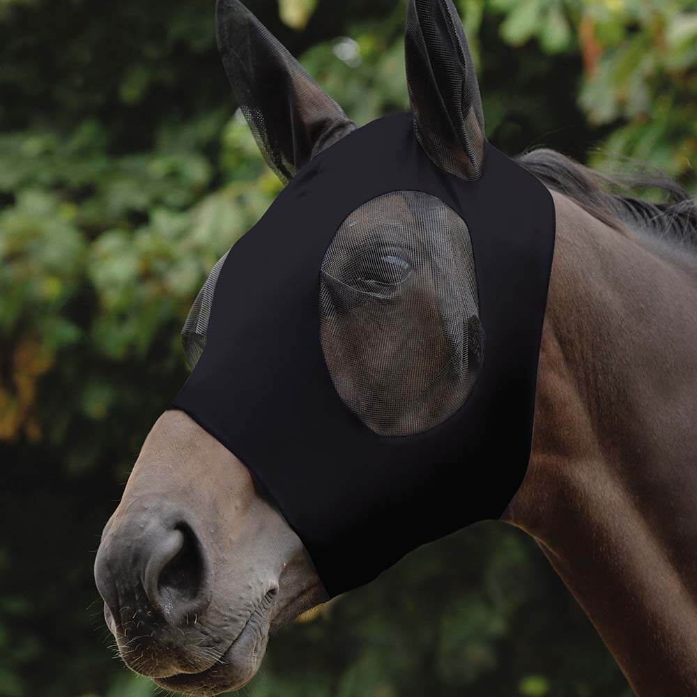 A horse wears the Weatherbeeta Stretch Bug Eye Saver With Ears Black, outdoors near green foliage.