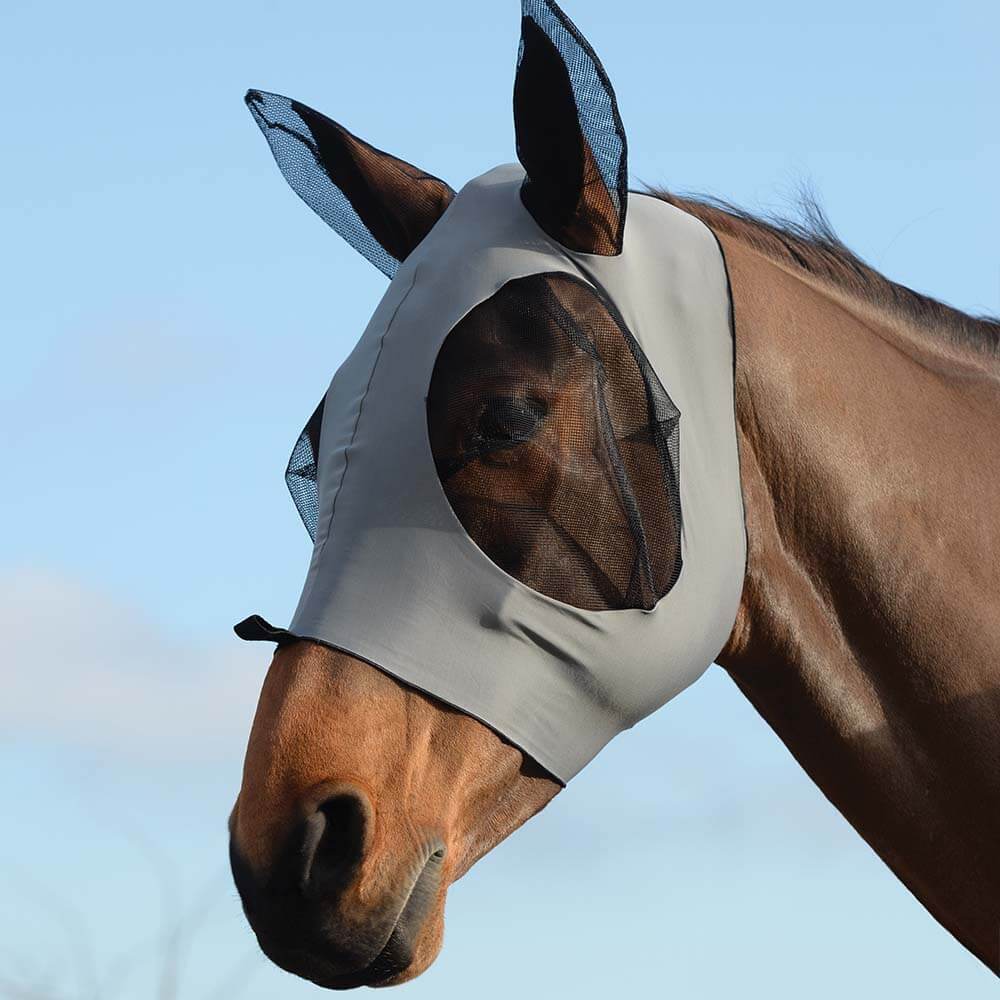 Brown horse in Weatherbeeta Stretch Bug Eye Saver With Ears by Weatherbeeta, under blue sky.