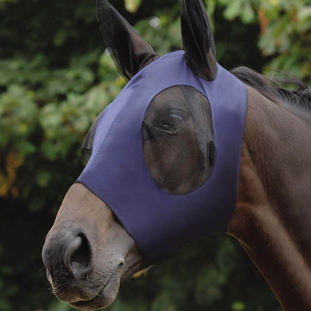 A horse wears a Weatherbeeta Stretch Bug Eye Saver With Ears Navy for outdoor UV protection.