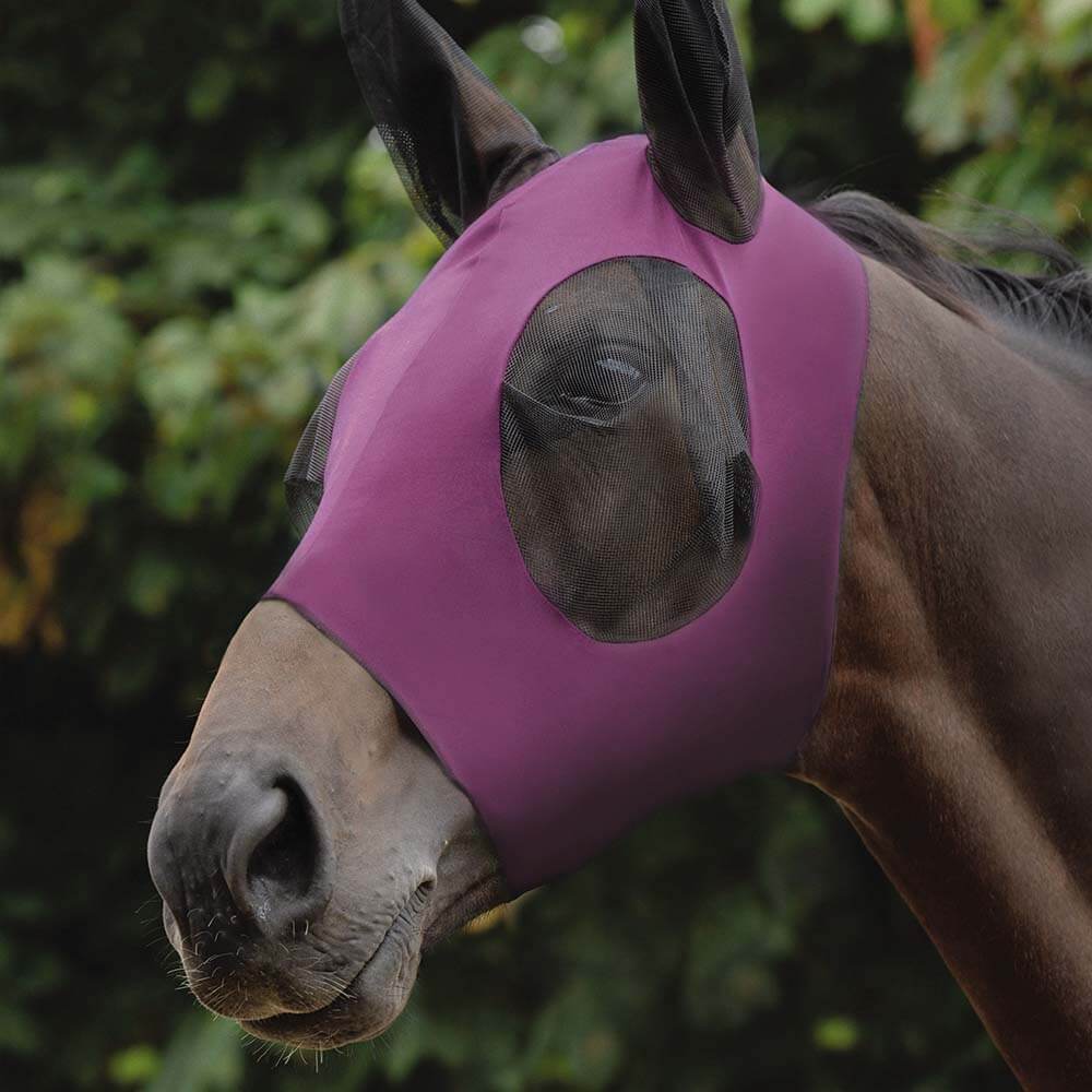 A horse wears the Weatherbeeta Stretch Bug Eye Saver With Ears Purple fly mask outdoors.