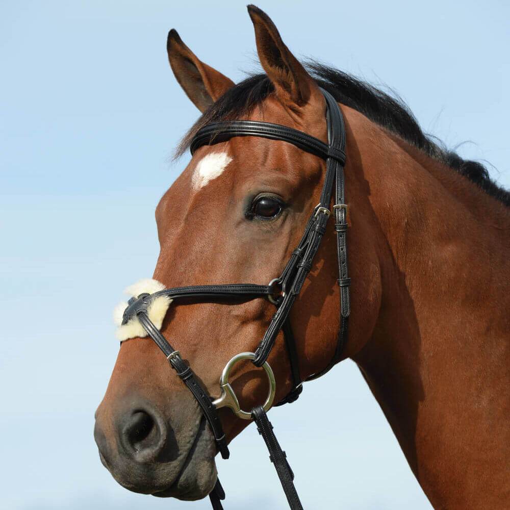 Collegiate Syntovia+ Figure 8 bridle on brown horse with white mark, blue sky background.
