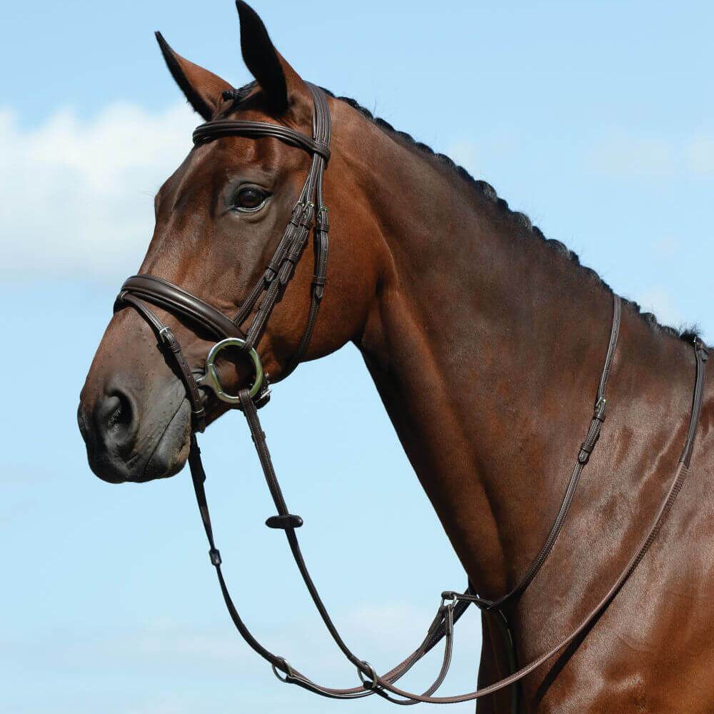 Collegiate Syntovia+ martingale, synthetic leather, stainless steel fittings, brown color.