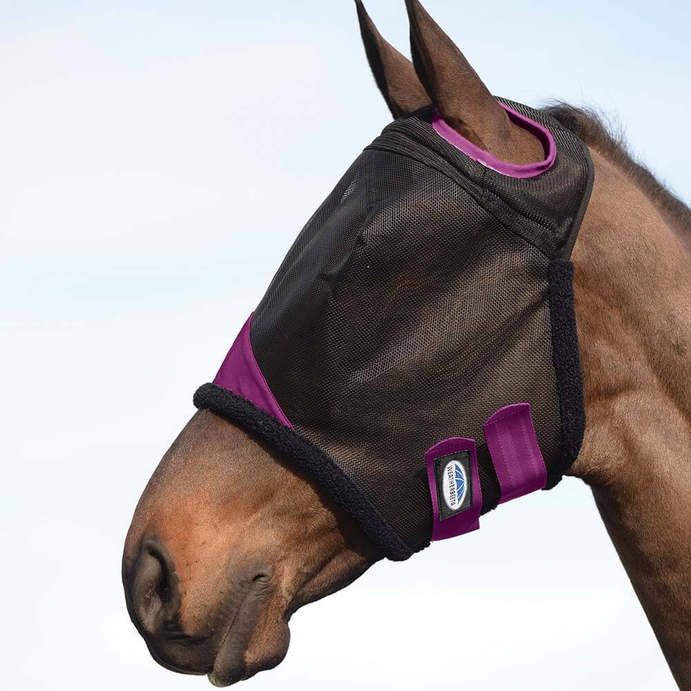 A horse wears a Weatherbeeta Comfitec Durable Mesh Mask in black and purple over its eyes and ears.