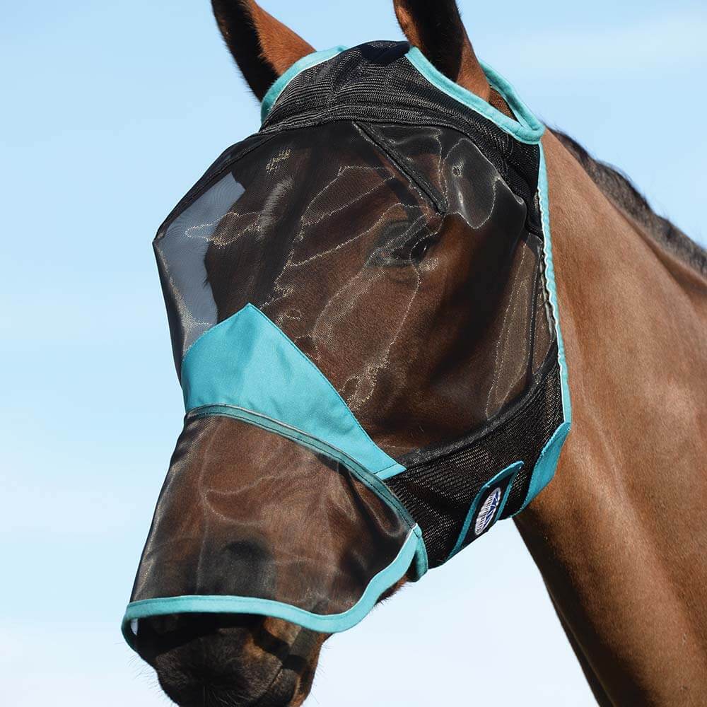 A horse wears a Weatherbeeta Comfitec Fine Mesh Mask With Nose over its face and muzzle.