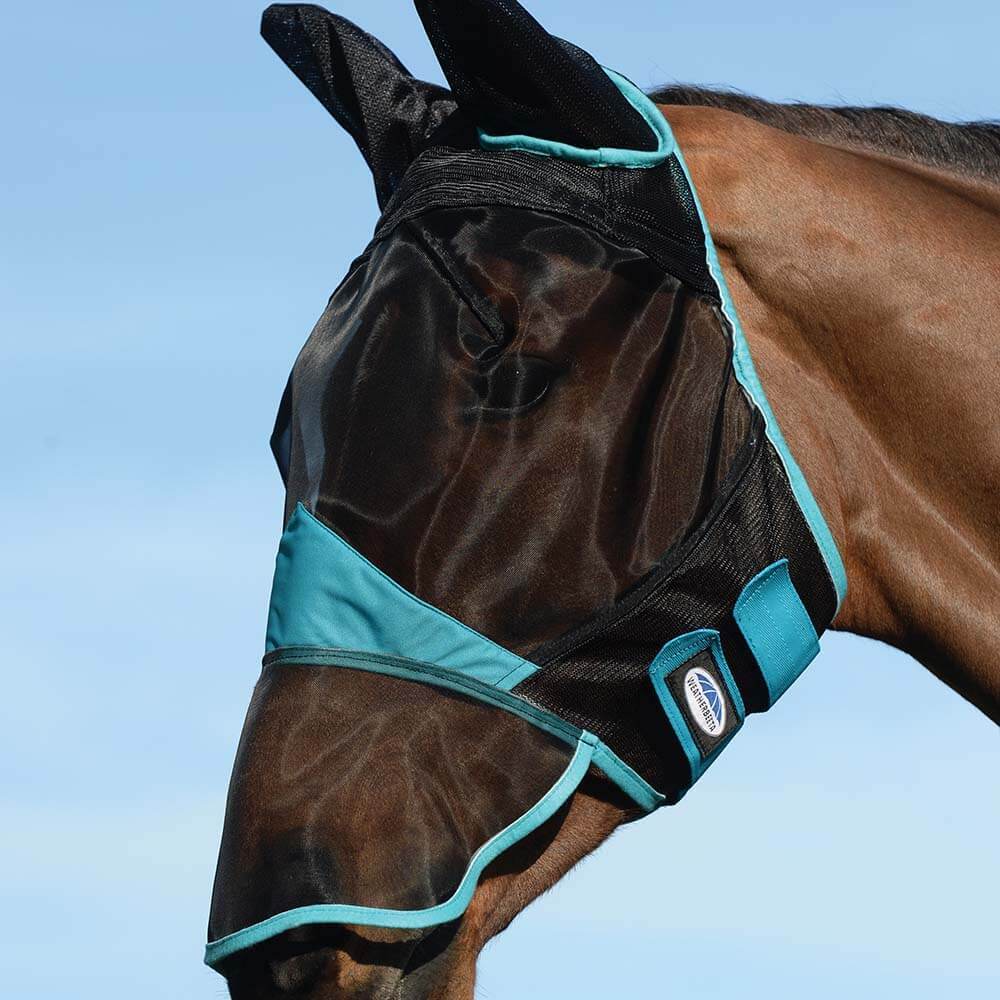 A horse wears a Weatherbeeta Comfitec Fine Mesh Mask With Ear & Nose in black and teal.