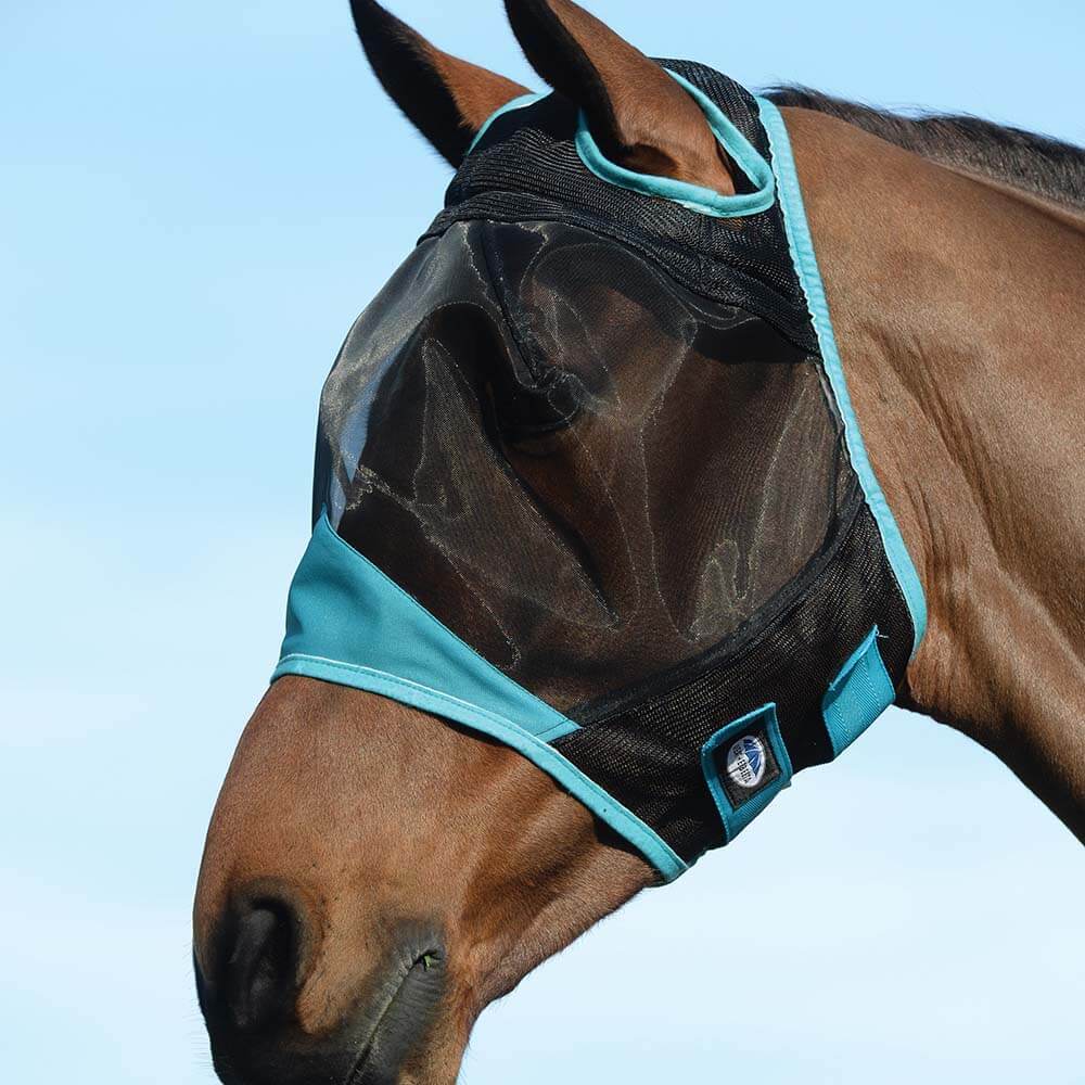 A horse in a Weatherbeeta Comfitec Fine Mesh Mask stands under a clear blue sky.