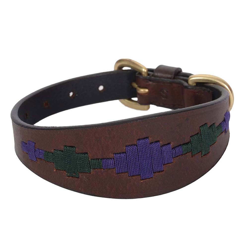 Weatherbeeta Lurcher Polo leather dog collar in brown/purple with geometric stitching.