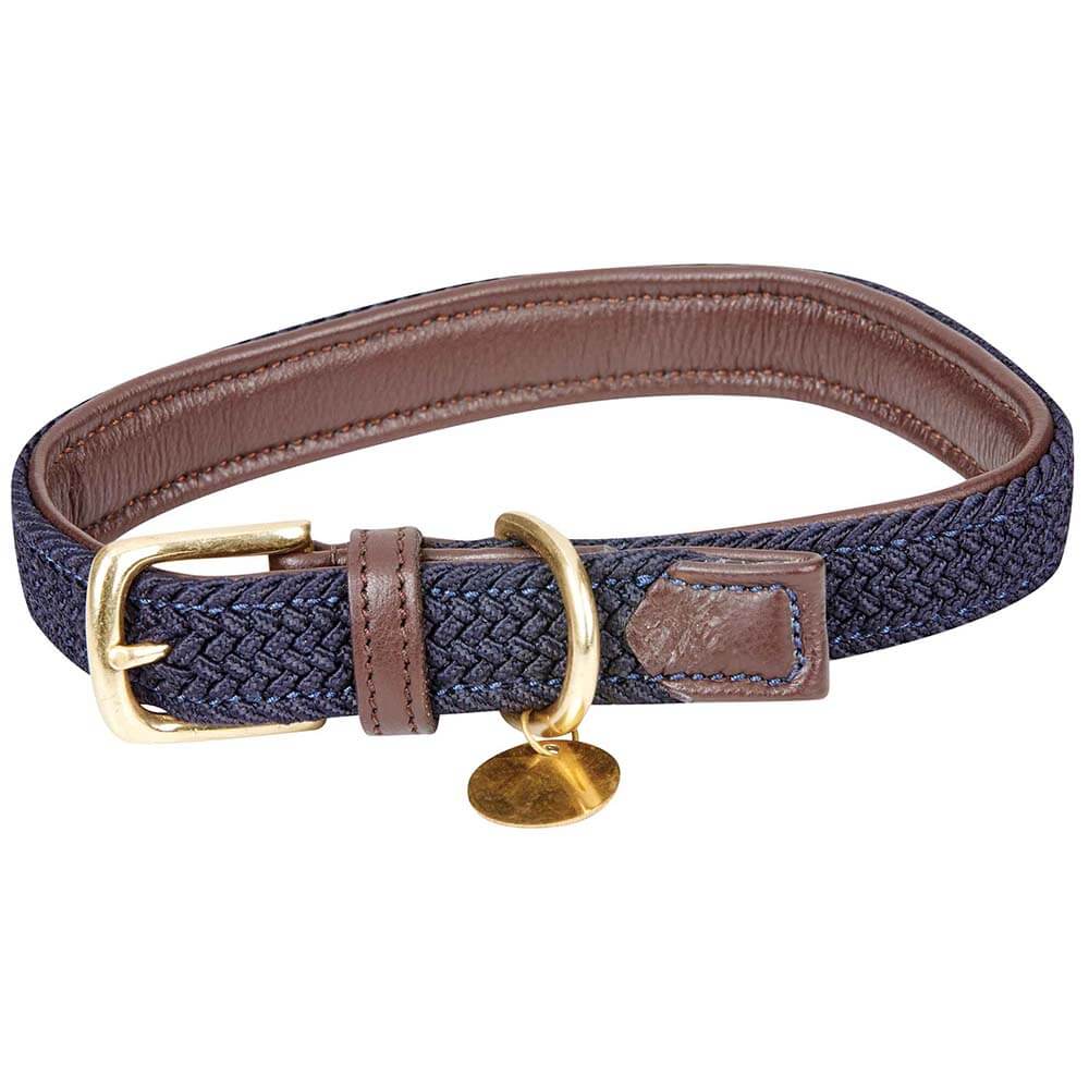 Weatherbeeta Leather Plaited Dog Collar in Brown/Navy with gold buckle and round tag.