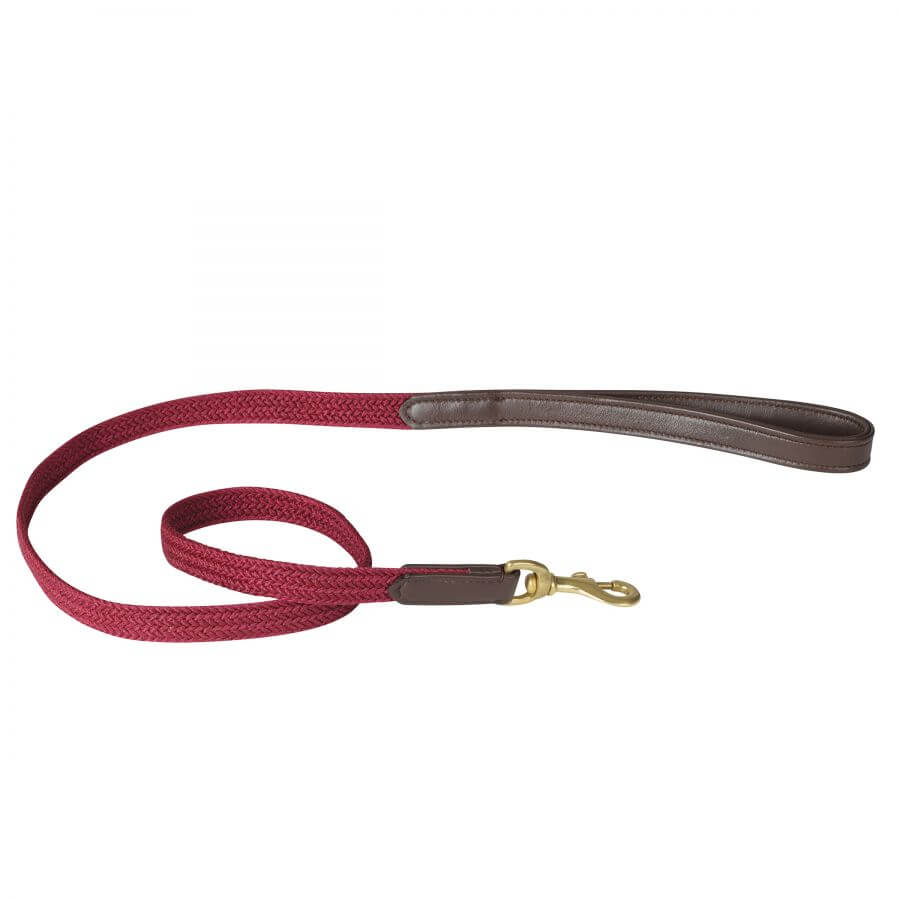 Weatherbeeta Leather Plaited Dog Lead with brass fittings and leather handle on white background.