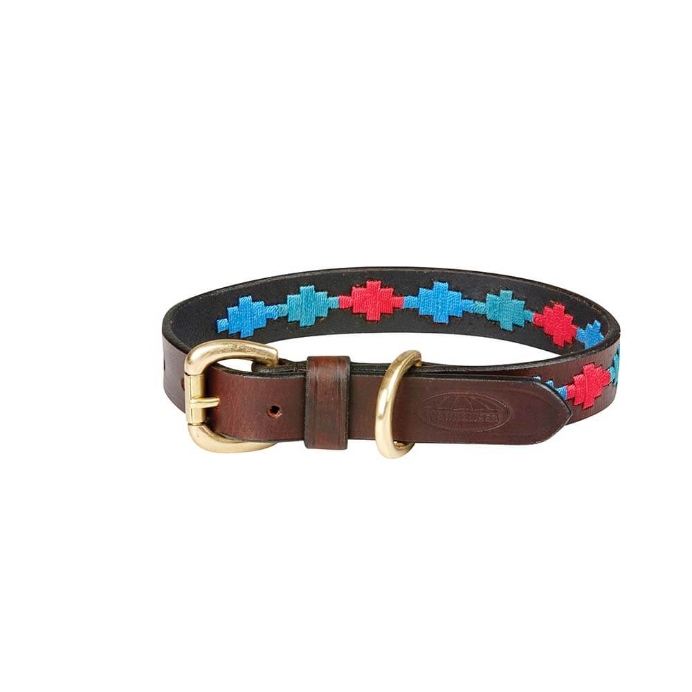 Weatherbeeta Beaufort Brown/Emerald leather dog collar with brass fittings and stitched pattern.