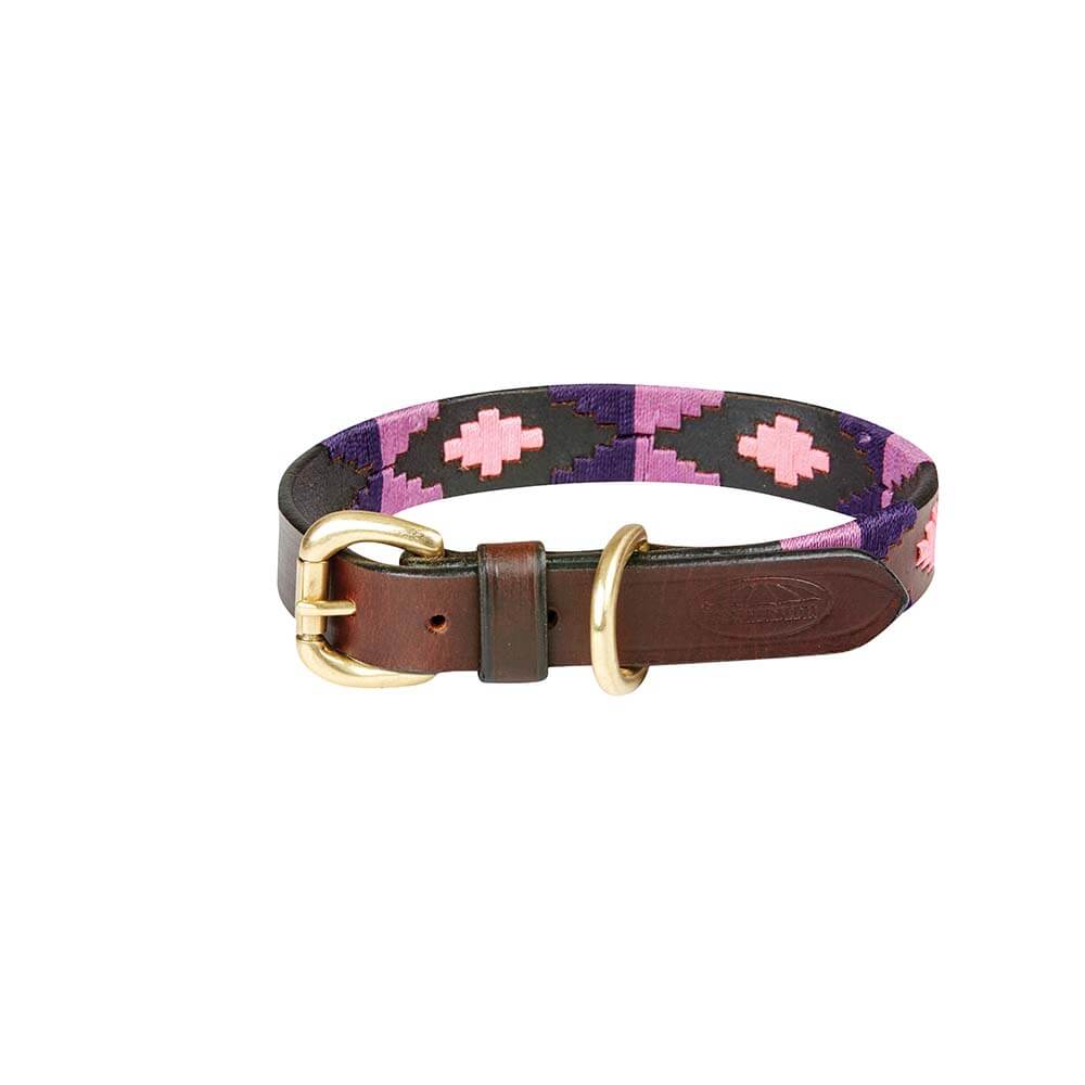 Weatherbeeta Polo Leather Dog Collar Cowdray Brown/Purple with brass fittings and stitched pattern.