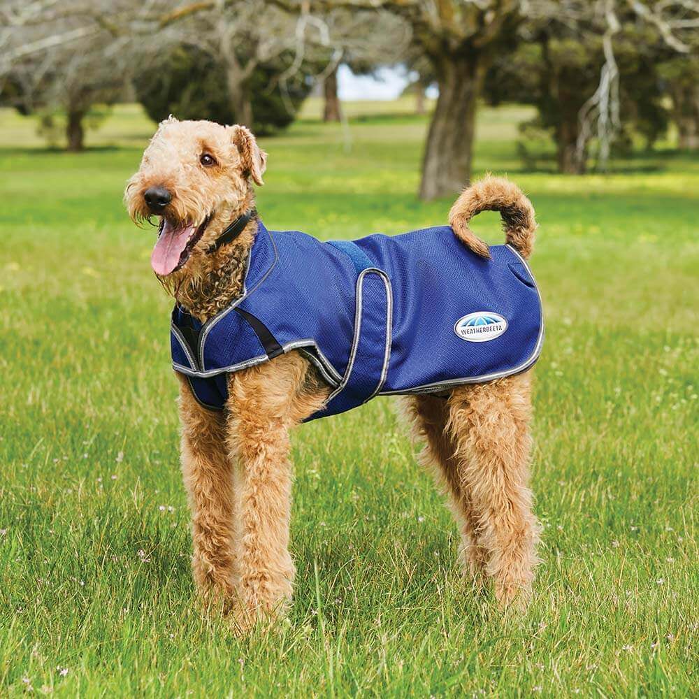 Weatherbeeta Comfitec Premier Free Duo Deluxe Parka Dog Coat-Pet n Pony-Weatherbeeta