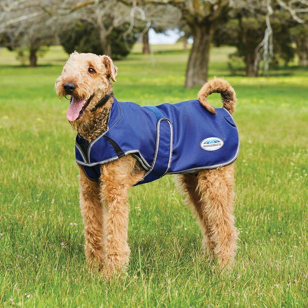 A dog in a Weatherbeeta Comfitec Premier Free Duo Deluxe Parka Dog Coat on green grass.