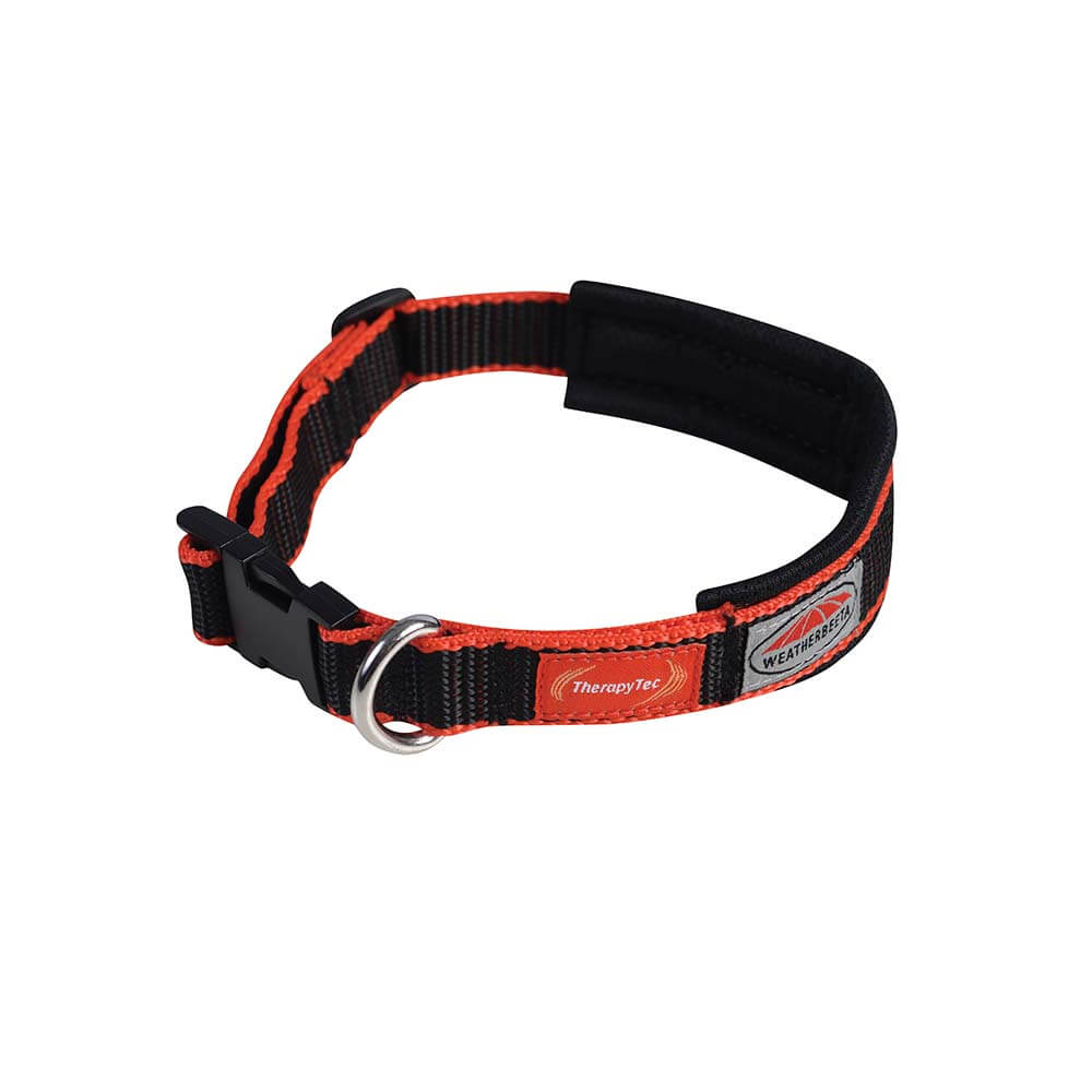 Weatherbeeta Therapy-Tec Dog Collar Black/Red with adjustable buckle and metal ring.