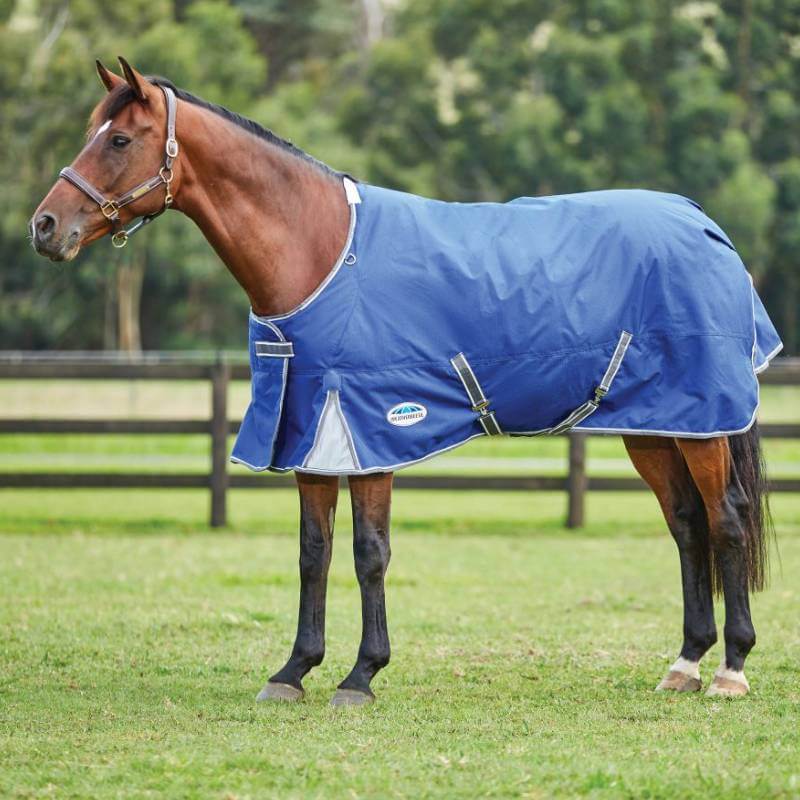Brown horse on grass in a Weatherbeeta Comfitec Premier Free II Standard Neck Lite, trees behind.