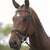 Kincade Flash Bridle II