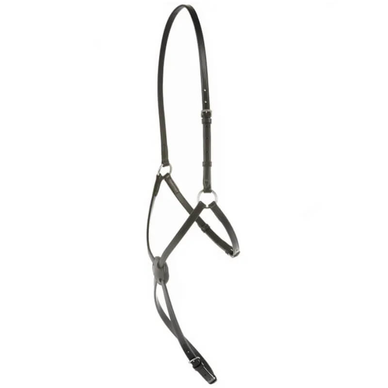 Kincade Grackle Noseband