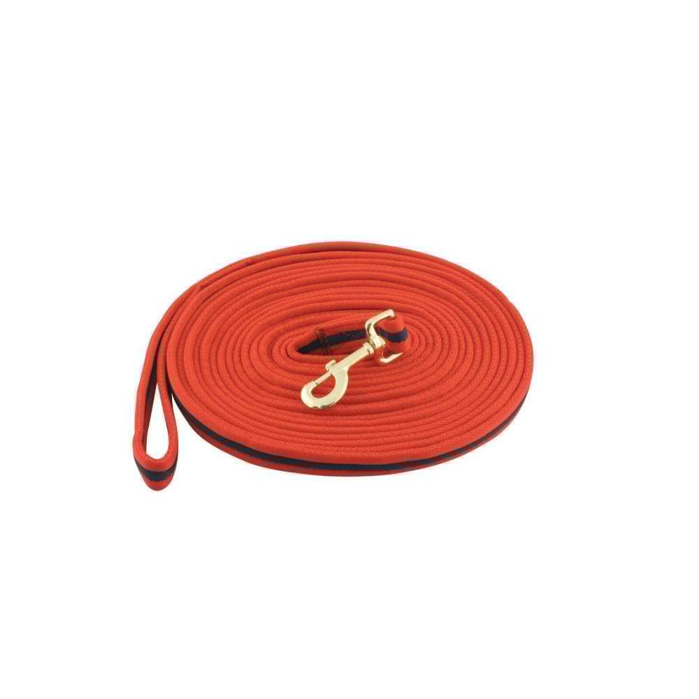 Kincade Two Tone Padded Lunge Rein, perfect for ground training sessions.