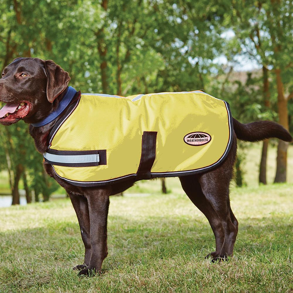 Chocolate Labrador outdoors wearing a Weatherbeeta Reflective Parka 300D Dog Coat on grass.