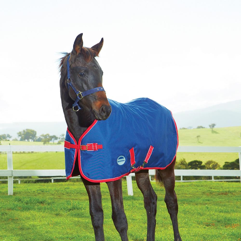 Weatherbeeta 1200D Foal Rug Standard Medium