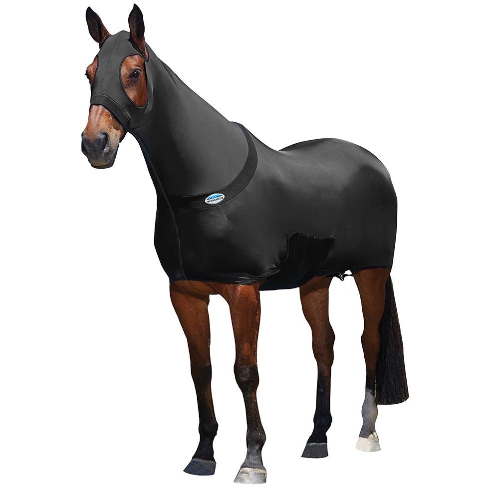 Brown horse wears a Weatherbeeta Light Weight Combo Neck Stretch Rug for blanket rub prevention.