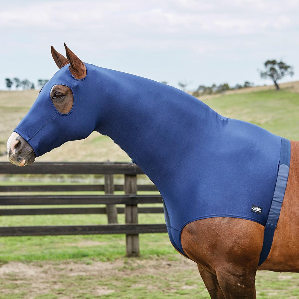 A horse in a blue Weatherbeeta Stretch Hood With Zip stands in a fenced outdoor area.