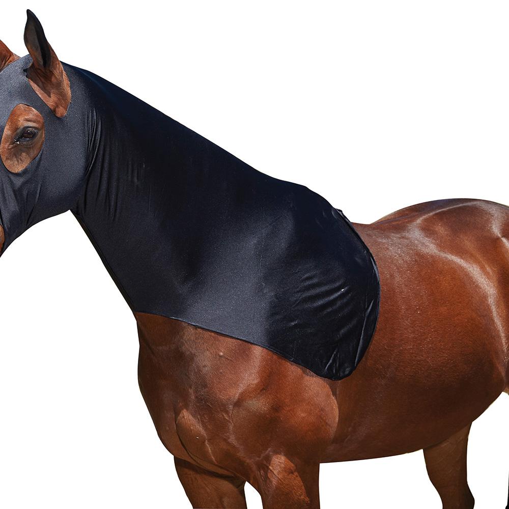 A brown horse wearing a Weatherbeeta Stretch Hood for show prep and coat protection.