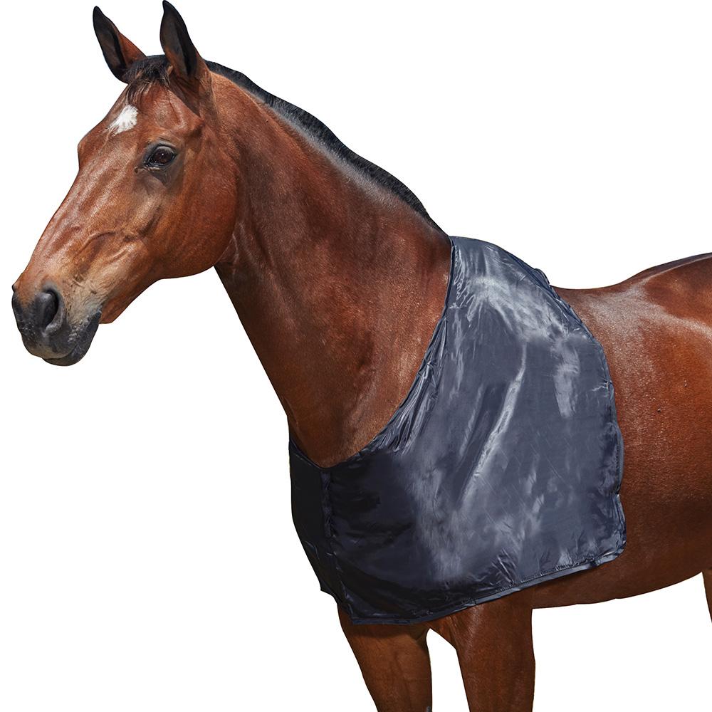 Brown horse wearing a Weatherbeeta Satin Shoulder Guard, shown against a white background.