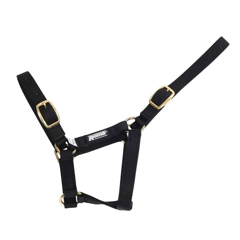 Roma Foal Headcollar by Roma, black nylon with gold buckles and adjustable nose, white background.