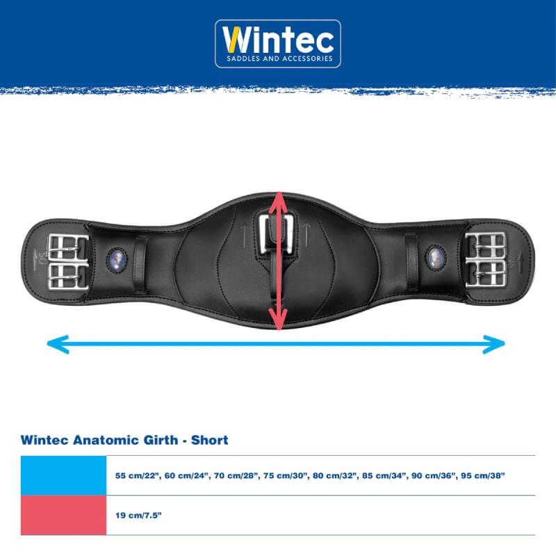 Wintec Anatomic Girth Black-Pet n Pony-Wintec