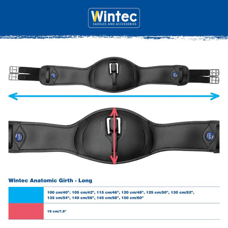 Two brown Wintec Anatomic Girths for horse comfort, with size chart and measurements below.