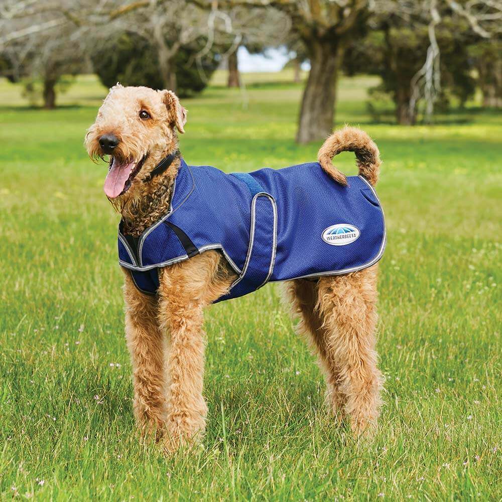A dog in a Weatherbeeta Comfitec Premier Free Deluxe Parka stands on green grass with trees.
