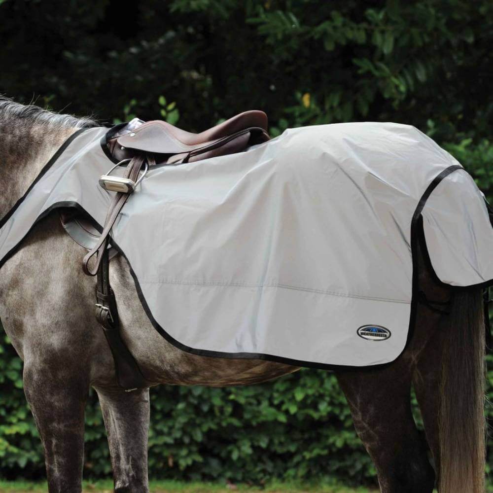 Gray horse in a Weatherbeeta Reflective Wrap Around Exercise Sheet Silver/Black outdoors.