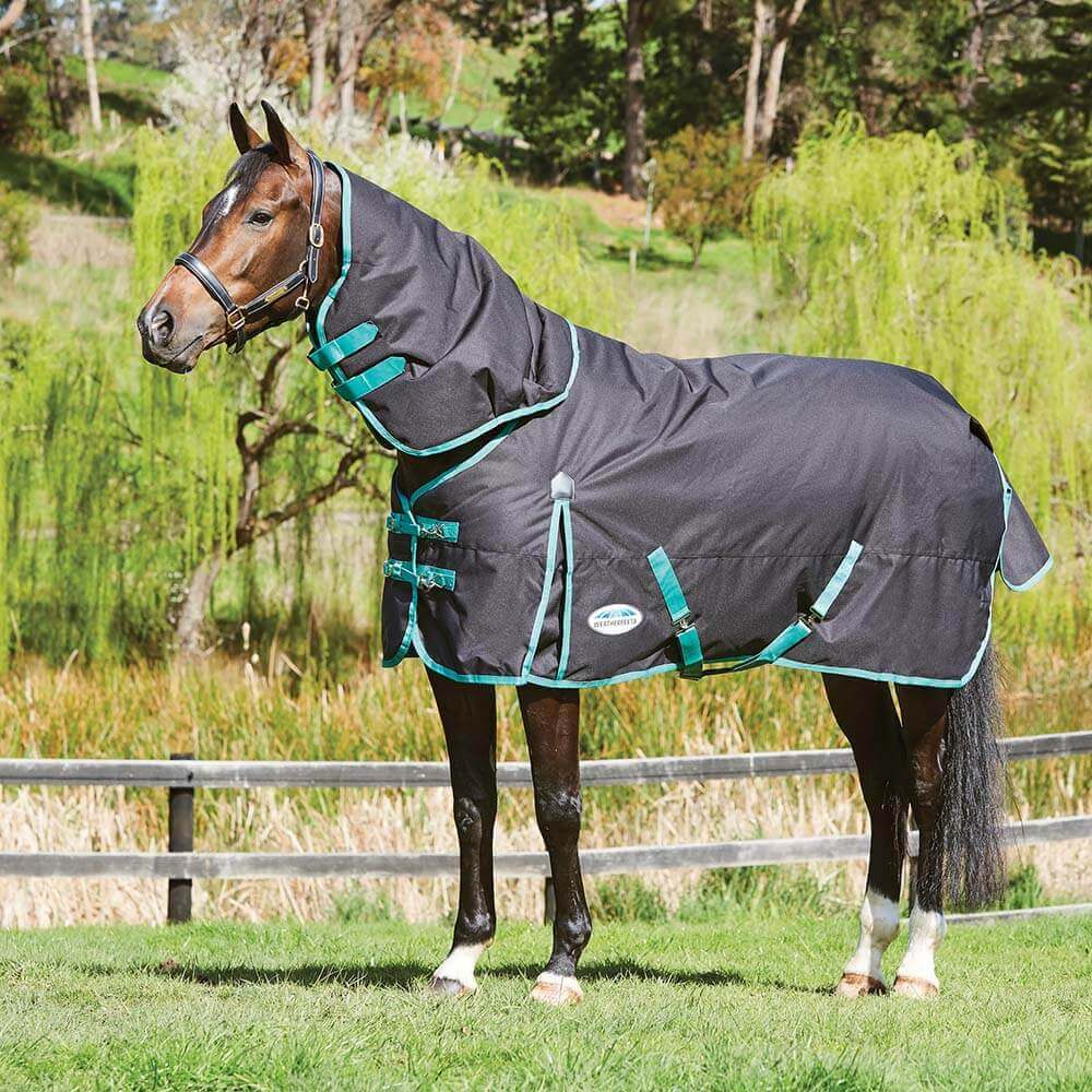 A horse in a Weatherbeeta Green-Tec 900D Detach A Neck Medium stands by a fence in grass.