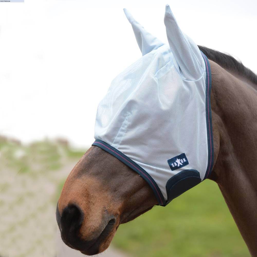 A brown horse wears the Saxon Mesh Mask White/Navy for insect protection on ears and eyes.