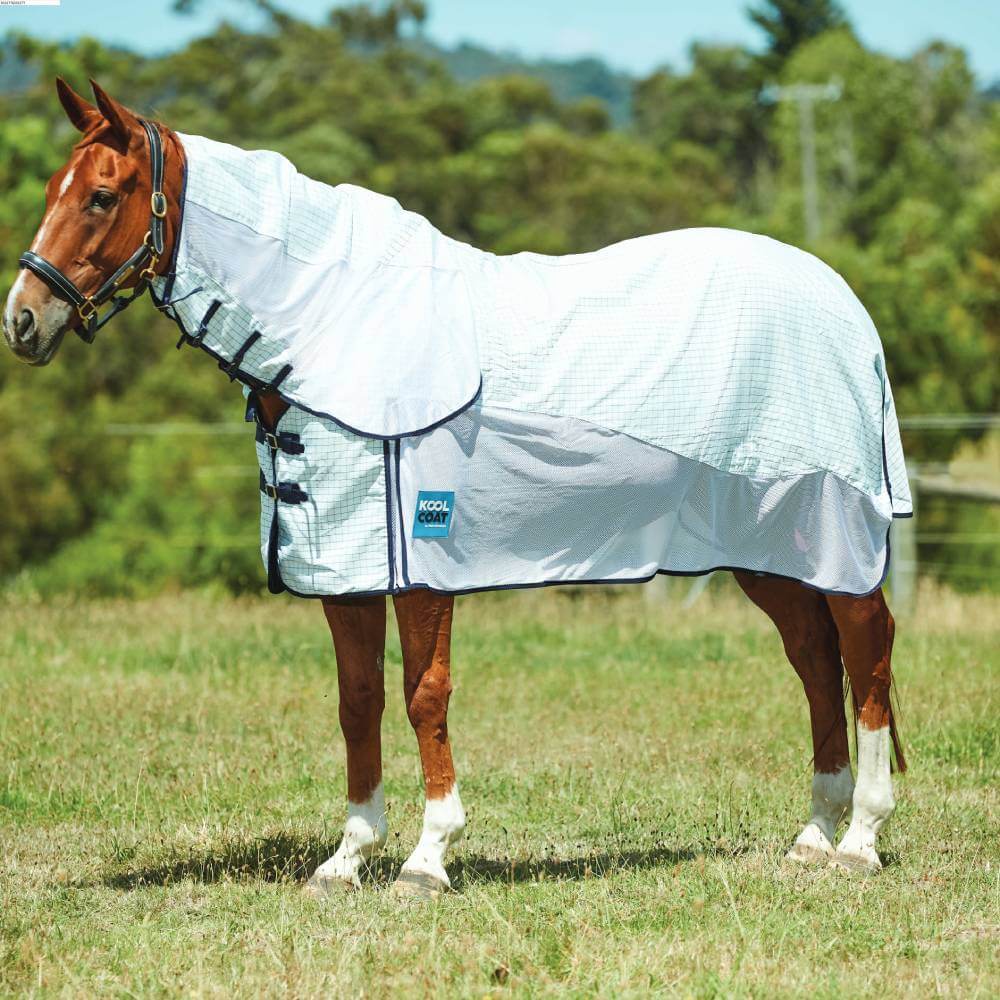 A chestnut horse wears a Kool Coat Airstream Combo Neck White/Navy in a sunny grassy field.