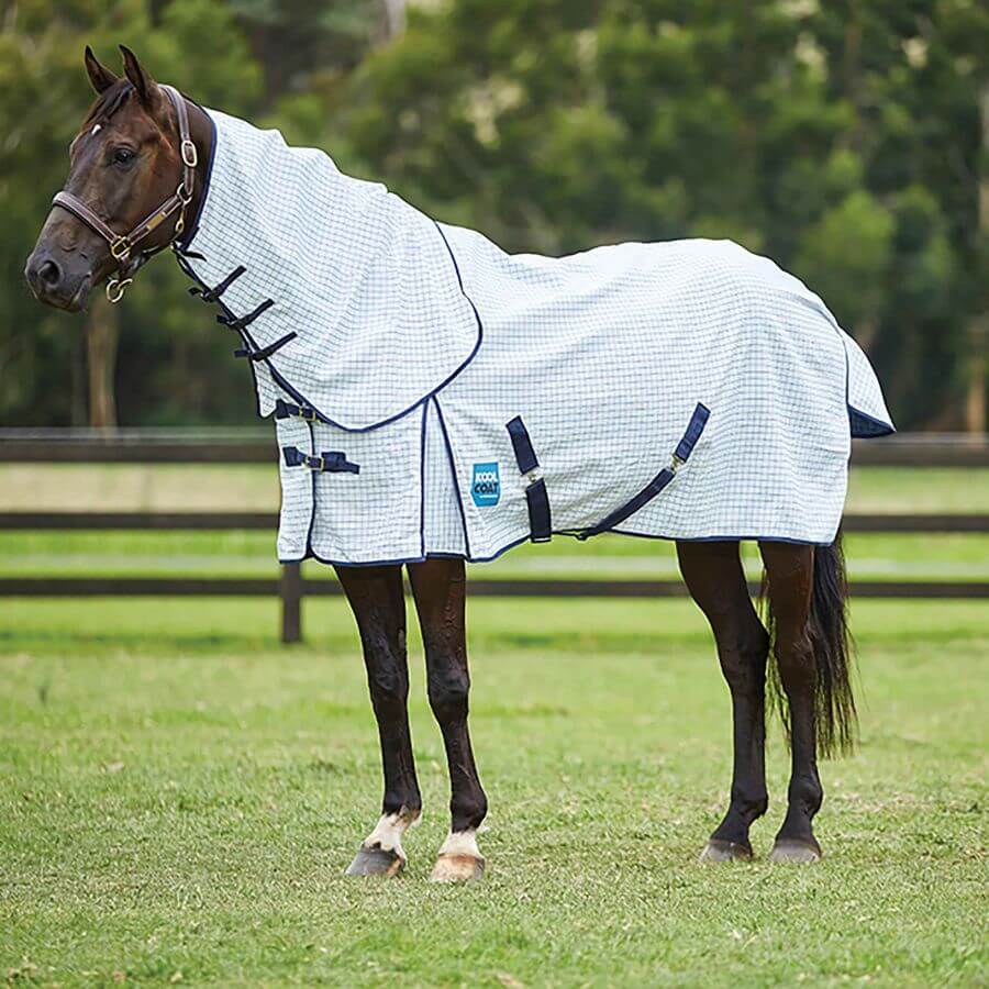 A horse in a Kool Coat Classic with Surcingles III Combo Neck White/Navy stands on grass.