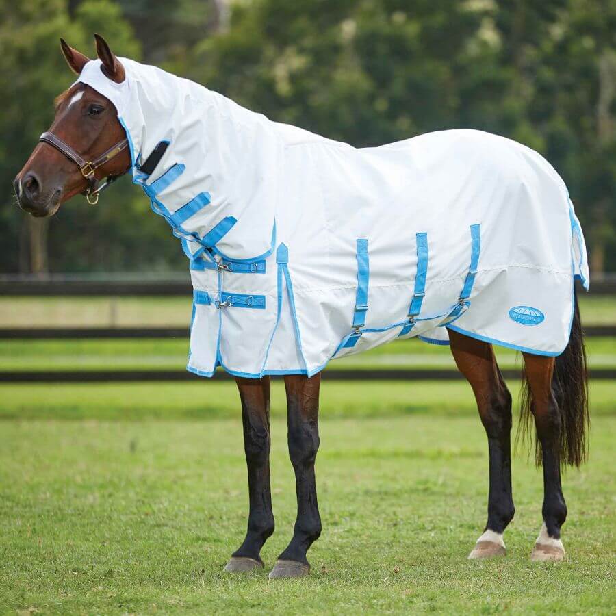 Horse in a Weatherbeeta Comfitec Sweet Itch Shield Combo Neck White/Blue on grass by fence.