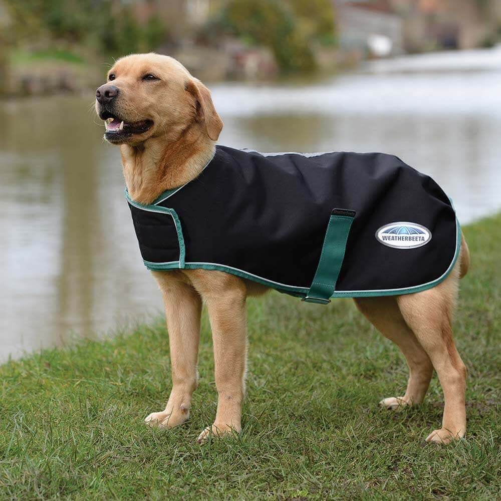 Weatherbeeta Green-Tec 900D Dog Coat Lite Plus