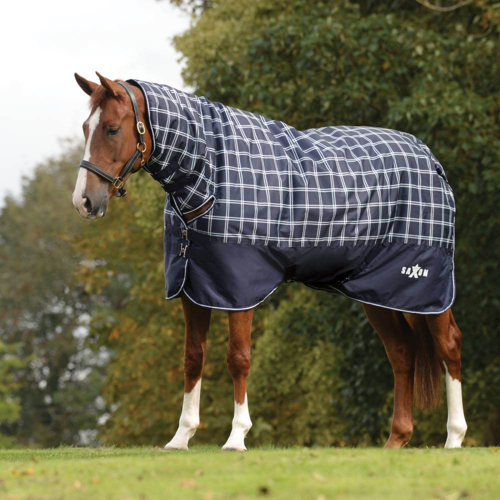 A horse in a Saxon Defiant 600D Combo Neck Navy Plaid blanket stands on grass with trees behind.