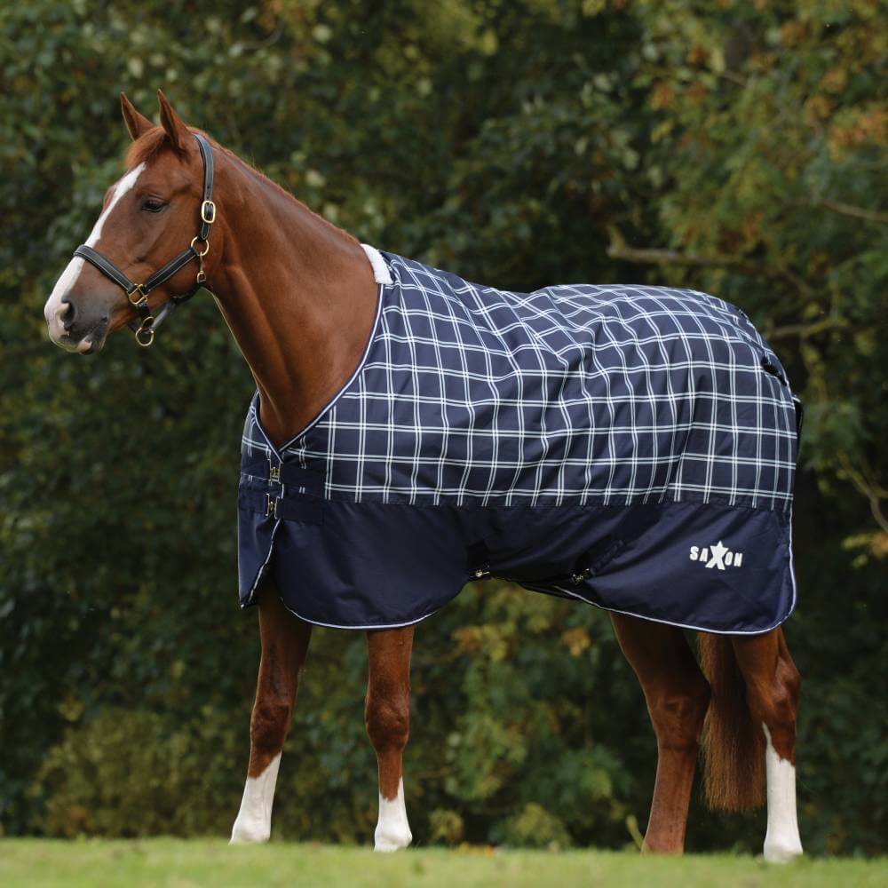 Saxon Defiant 600D Standard Neck Medium Navy/Plaid-Pet n Pony-Saxon