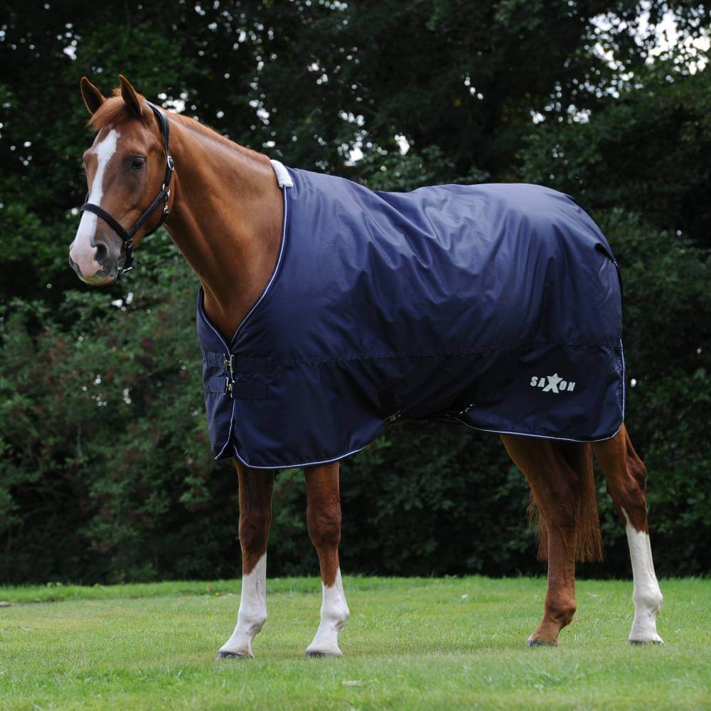 Chestnut horse wears Saxon Defiant 600D Standard Neck Navy/White blanket on grass with trees.
